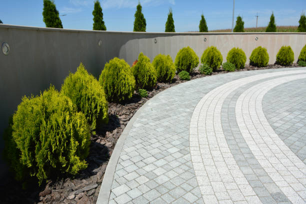 Best Driveway Paving Contractor  in Fairplains, NC